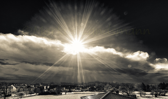 Sunstar ©MarkusLandsmann