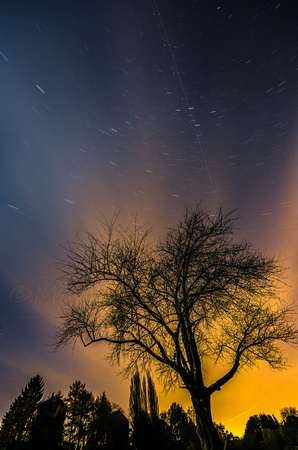 Sternen Himmel ©MarkusLandsmann