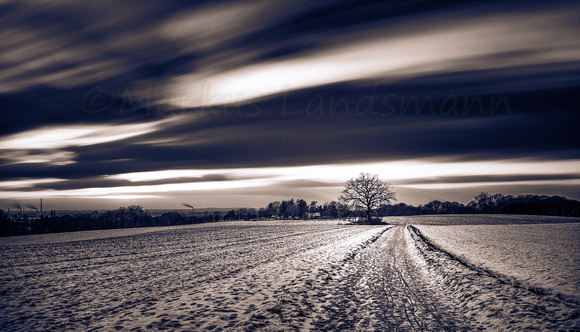Winter time ©MarkusLandsmann
