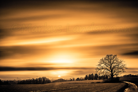 Sunset silence ©MarkusLandsmann