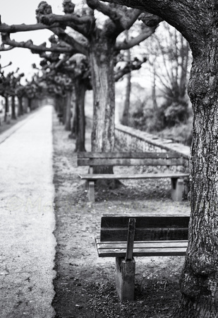Free bench ©MarkusLandsmann