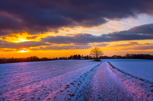Winter silence  ©MarkusLandsmann