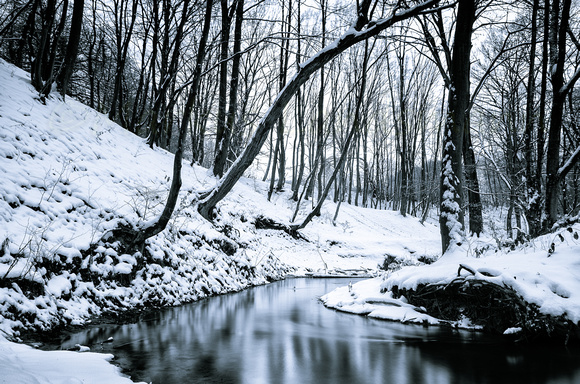 Winter Moments ©MarkusLandsmann