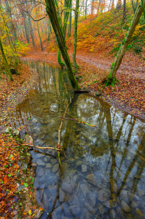 Autumn time ©MarkusLandsmann