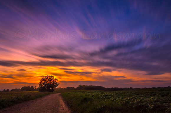 LE sunset ©MarkusLandsmann